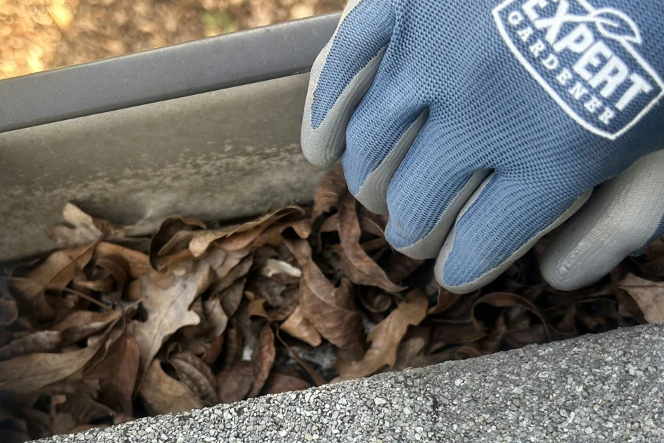 Gutter Cleaning Easley