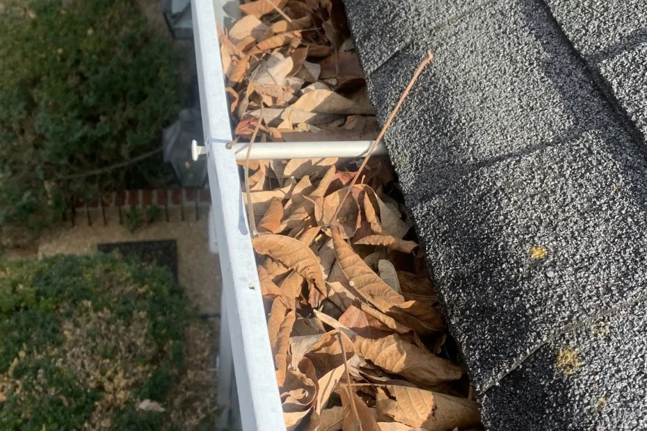 Gutter Cleaning Easley